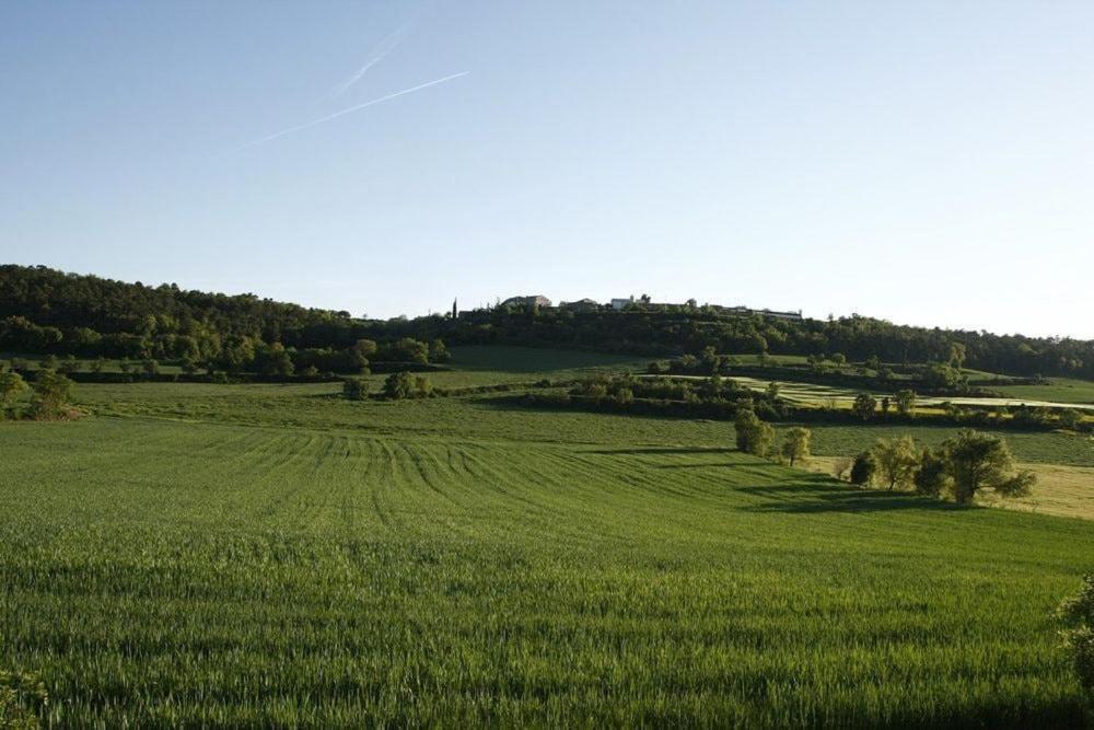 Masia Cal Millas - Turisme Rural Castellfullit de Riubregos Екстериор снимка